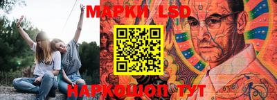 шишки Бердск