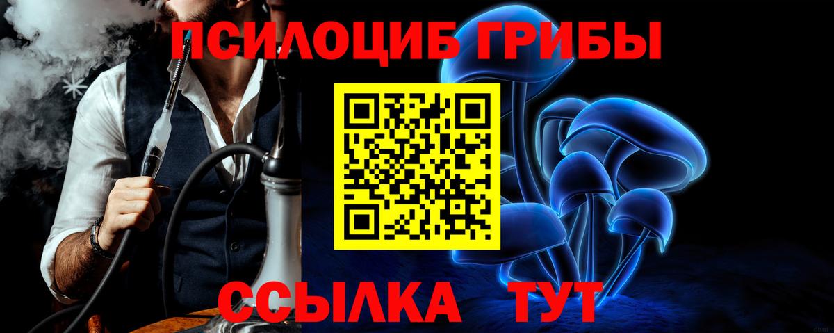Псилоцибиновые грибы Psilocybine cubensis  Вход с VPN  Донской 